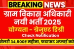 RSMSSB VDO Vacancy 2025