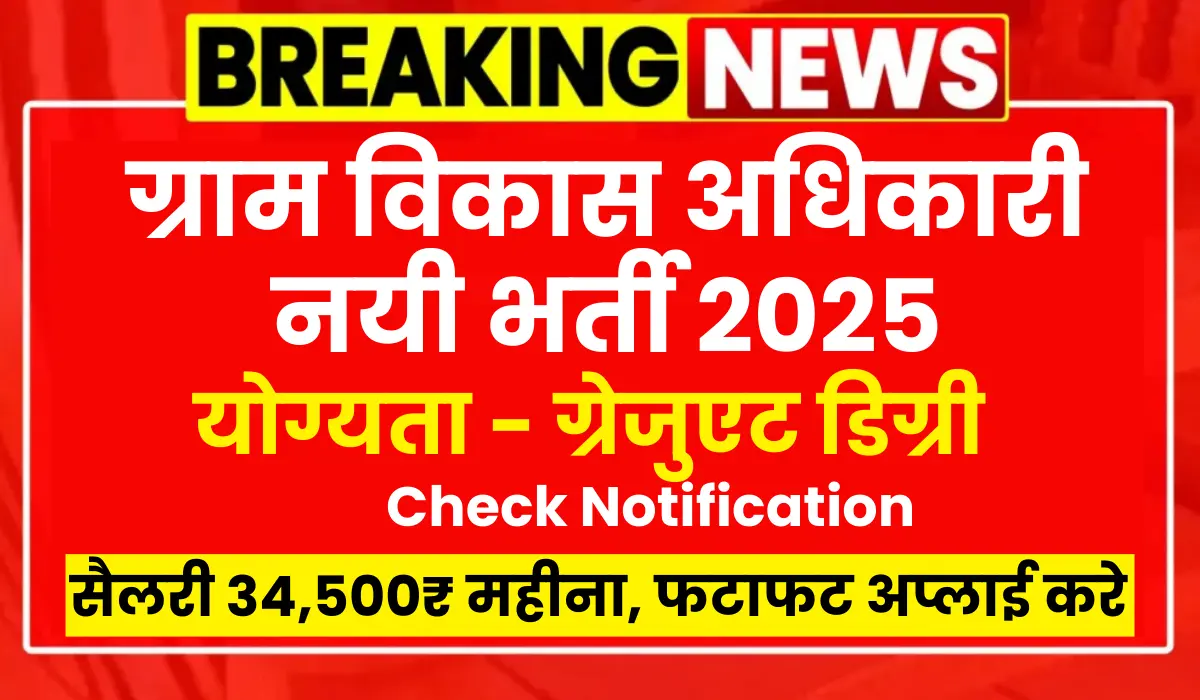 RSMSSB VDO Vacancy 2025